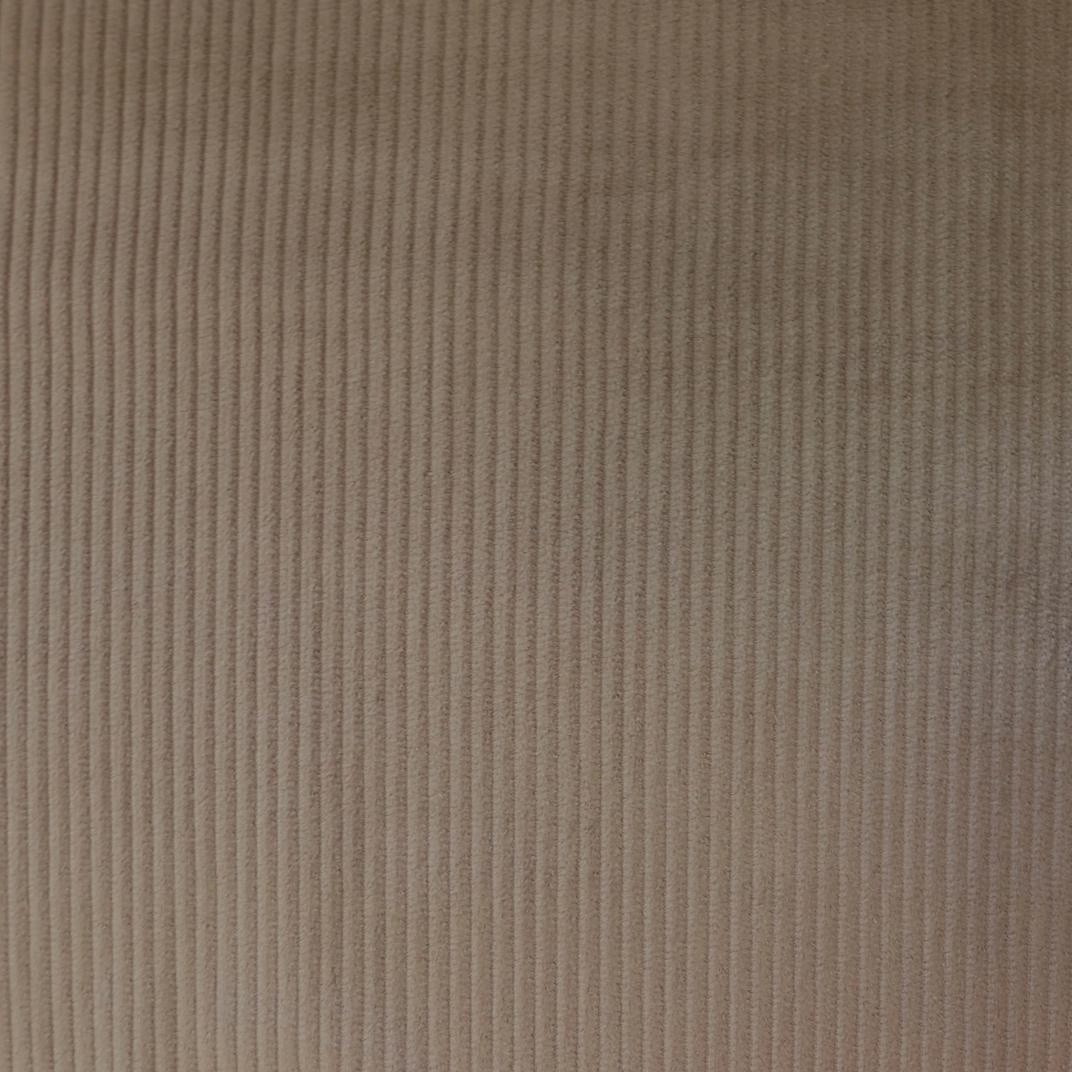Jumbo Cotton Corduroy - Camel